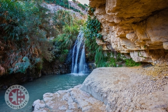 The National Park, Ein-Gedi